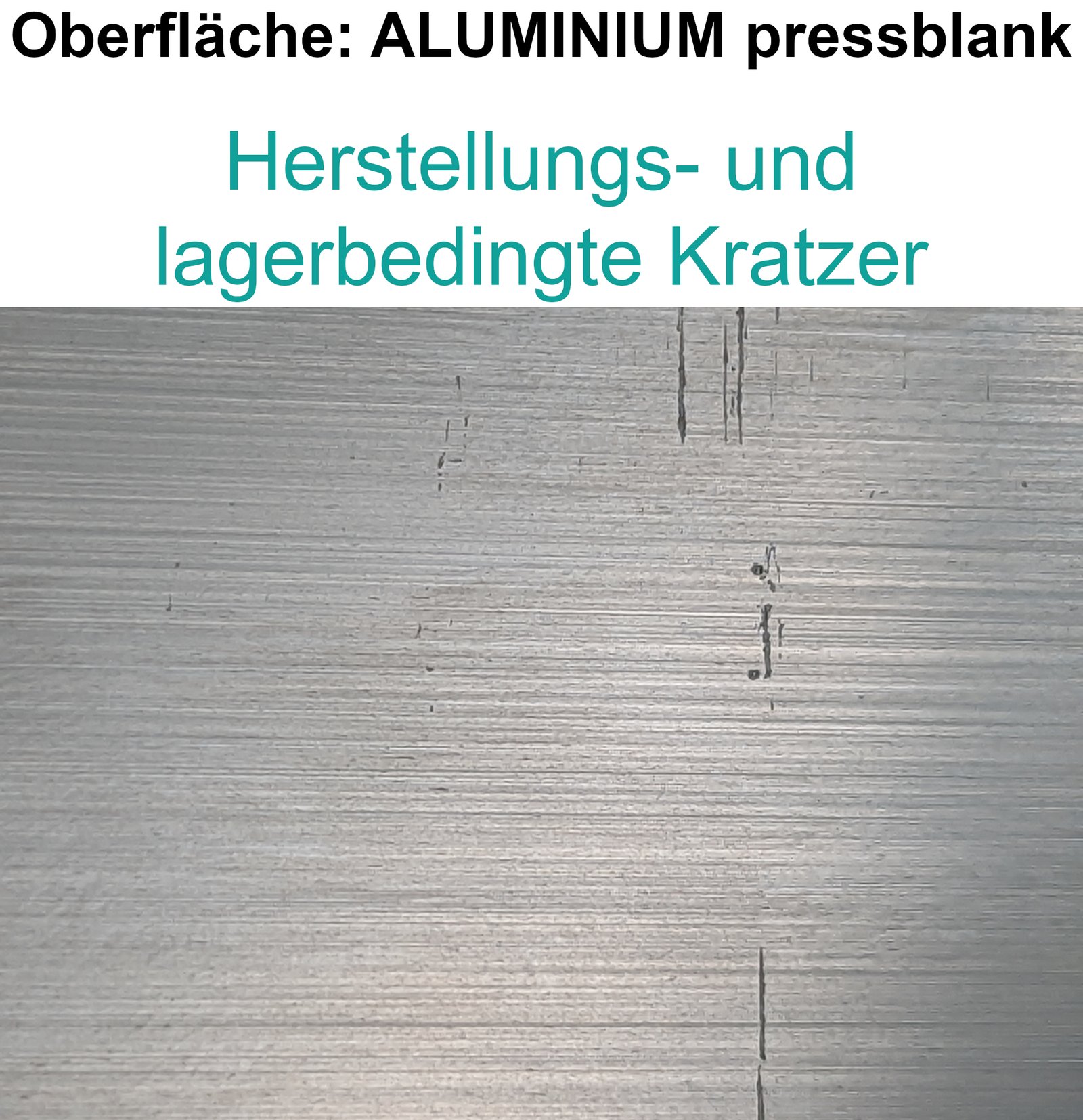 Alu Solarprofil 40x40 mm || Nut M8/M10 || bis 6.000 mm